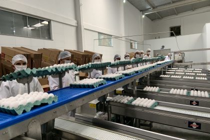 Somos referência em inovação, qualidade e tecnologia.
