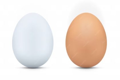 Ovo marrom X Ovo branco Qual é o mais nutritivo?