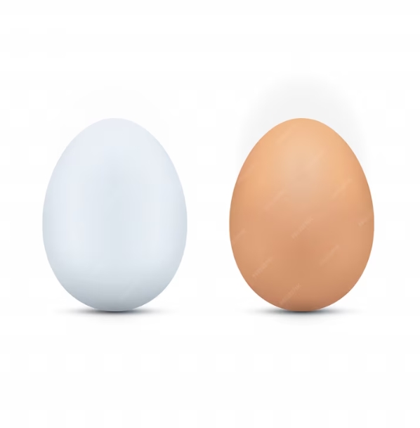 Ovo marrom X Ovo branco Qual é o mais nutritivo?