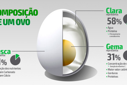 Conheça a composição do ovo