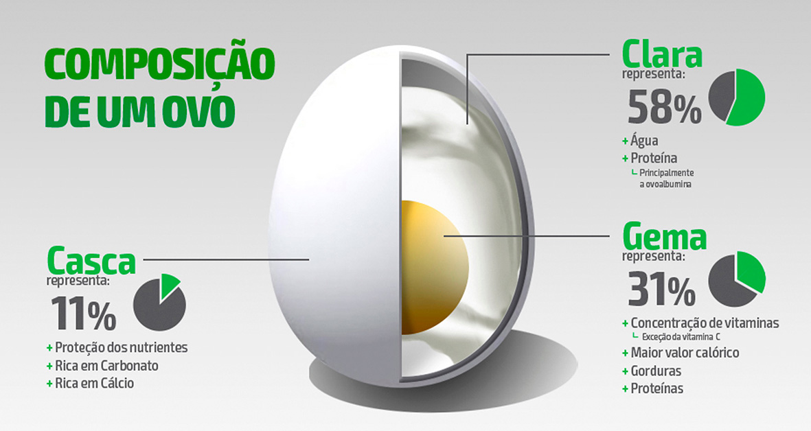 Conheça a composição do ovo
